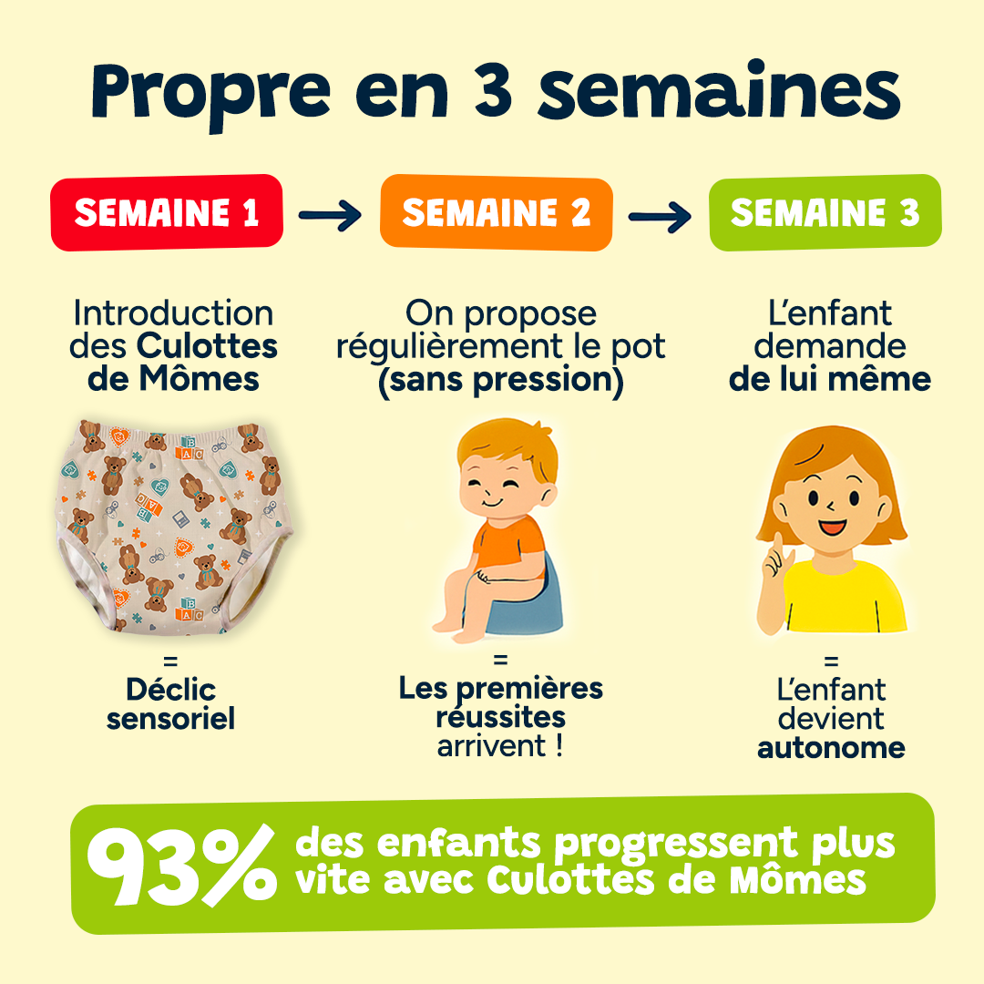 Culotte d'apprentissage - Teddy l'Ourson 🐻